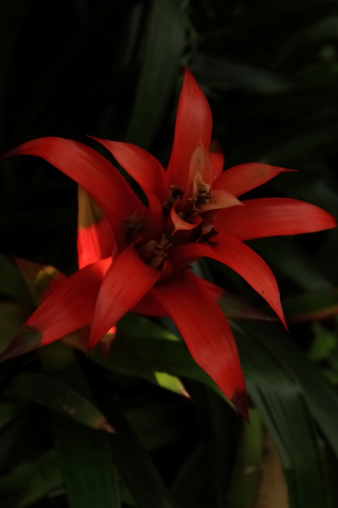2011 04 26 IMG 28952